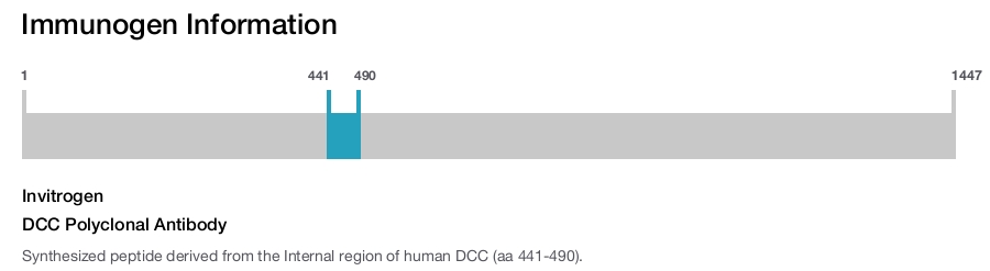 DCC Polyclonal Antibody