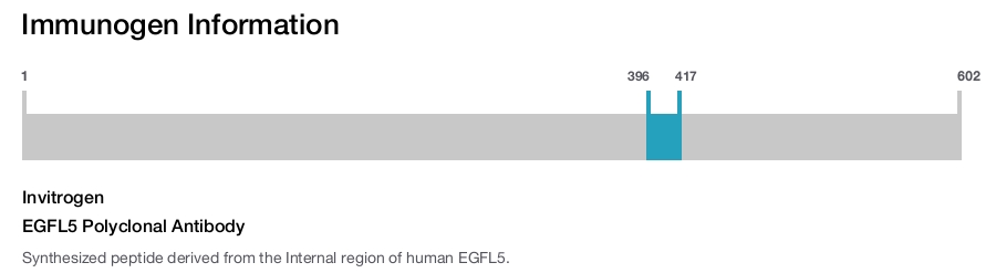 EGFL5 Polyclonal Antibody