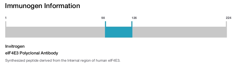 eIF4E3 Polyclonal Antibody
