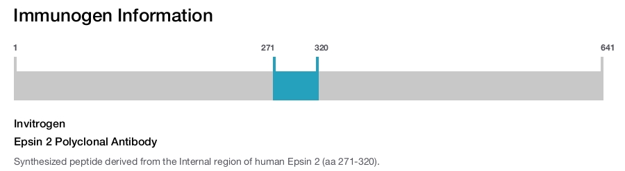 Epsin 2 Polyclonal Antibody
