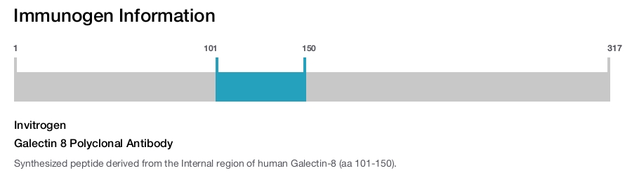Galectin 8 Polyclonal Antibody