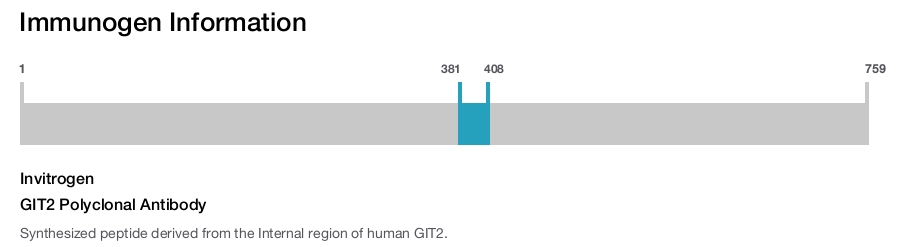 GIT2 Polyclonal Antibody
