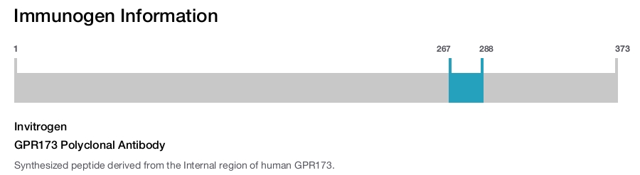 GPR173 Polyclonal Antibody