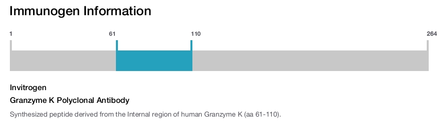 Granzyme K Polyclonal Antibody