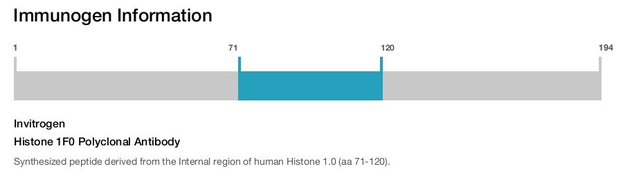 Histone 1F0 Polyclonal Antibody