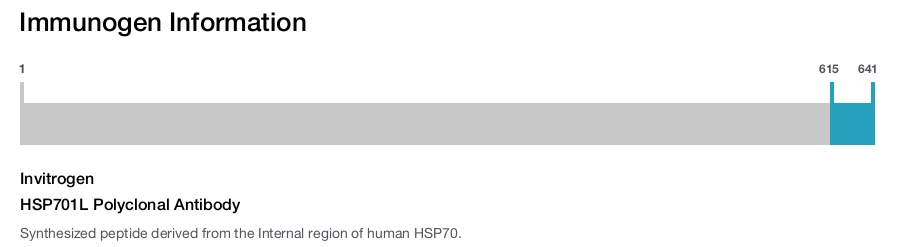 HSP701L Polyclonal Antibody
