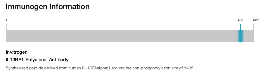 IL13RA1 Polyclonal Antibody