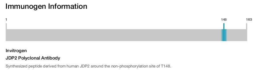 JDP2 Polyclonal Antibody