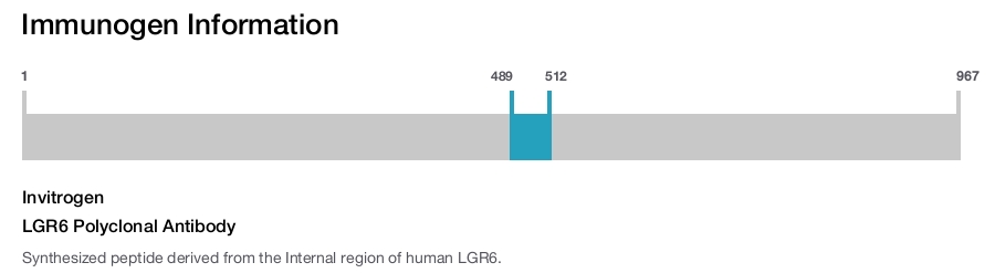 LGR6 Polyclonal Antibody