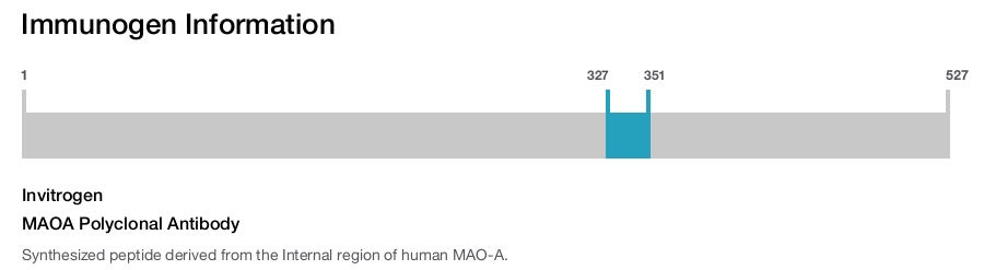 MAOA Polyclonal Antibody
