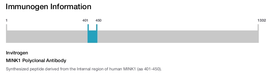 MINK1 Polyclonal Antibody