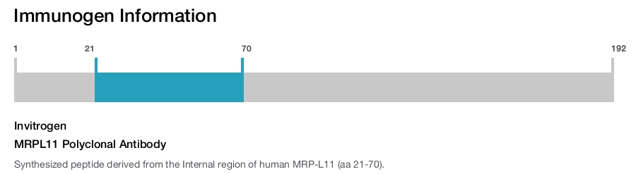 MRPL11 Polyclonal Antibody