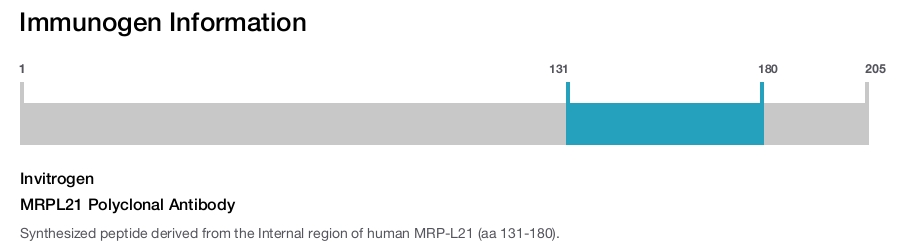 MRPL21 Polyclonal Antibody