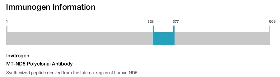 MT-ND5 Polyclonal Antibody