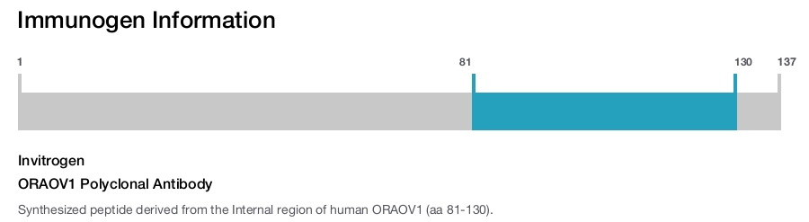 ORAOV1 Polyclonal Antibody