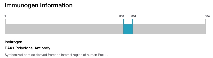 PAX1 Polyclonal Antibody