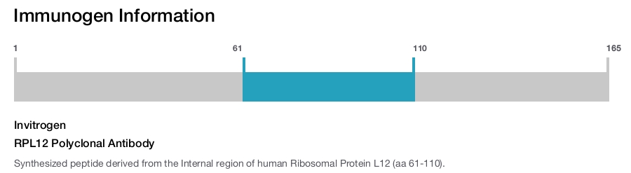 RPL12 Polyclonal Antibody