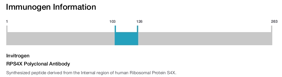 RPS4X Polyclonal Antibody
