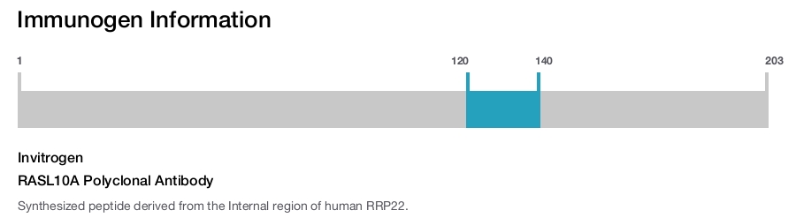 RASL10A Polyclonal Antibody