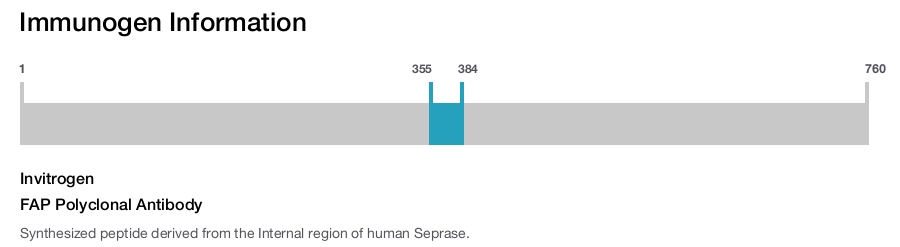 FAP Polyclonal Antibody