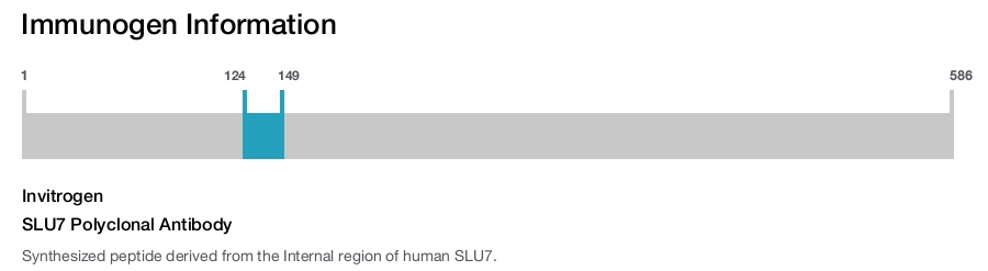 SLU7 Polyclonal Antibody