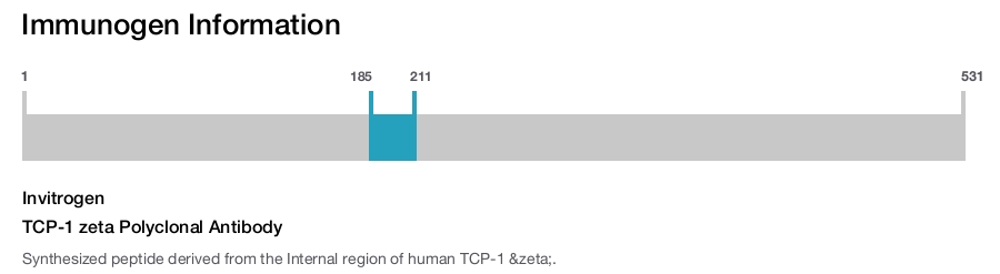 TCP-1 zeta Polyclonal Antibody