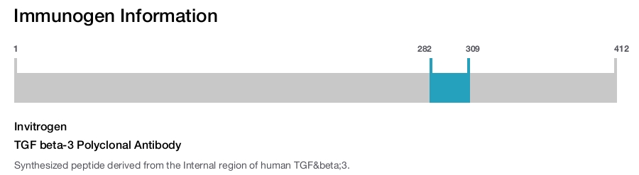 TGF beta-3 Polyclonal Antibody