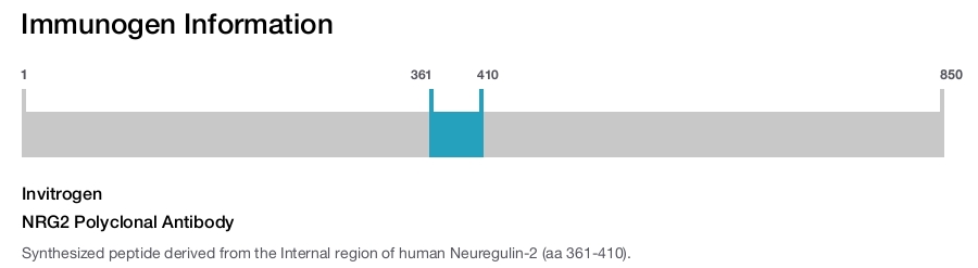 NRG2 Polyclonal Antibody