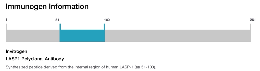 LASP1 Polyclonal Antibody