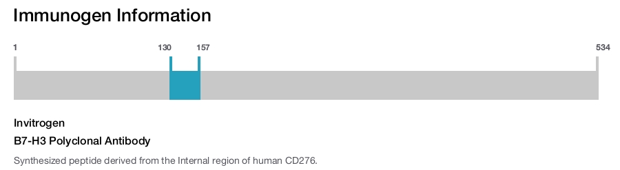 B7-H3 Polyclonal Antibody