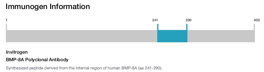 BMP-8A Polyclonal Antibody