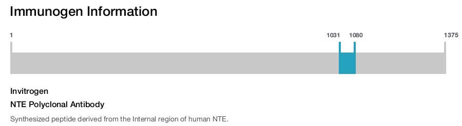 NTE Polyclonal Antibody