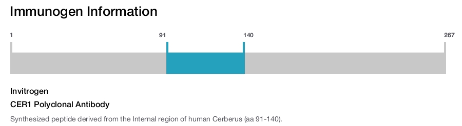 CER1 Polyclonal Antibody