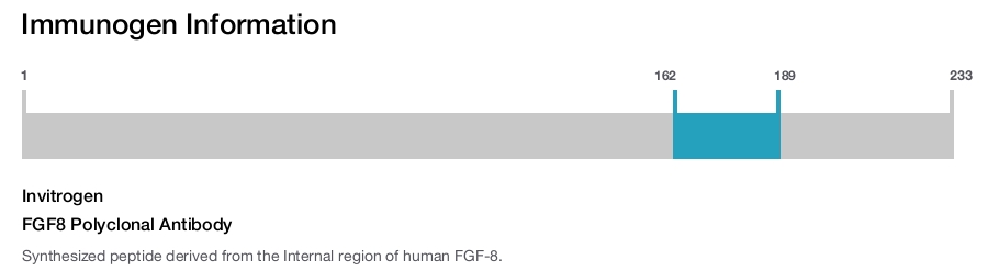FGF8 Polyclonal Antibody