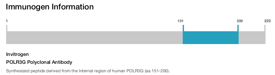 POLR3G Polyclonal Antibody