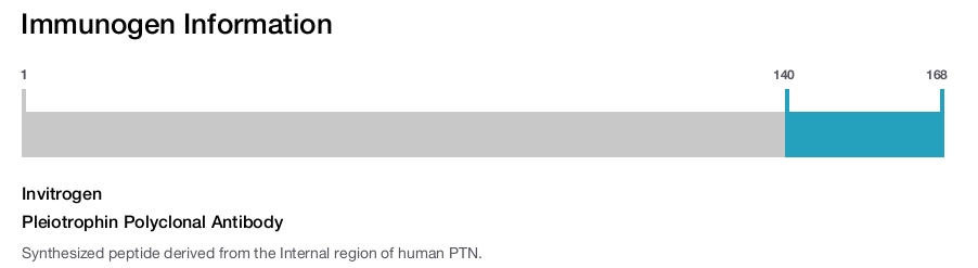 Pleiotrophin Polyclonal Antibody
