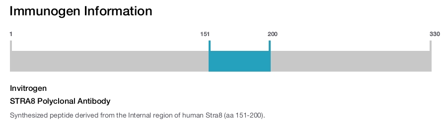 STRA8 Polyclonal Antibody