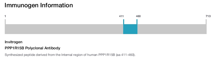 PPP1R15B Polyclonal Antibody
