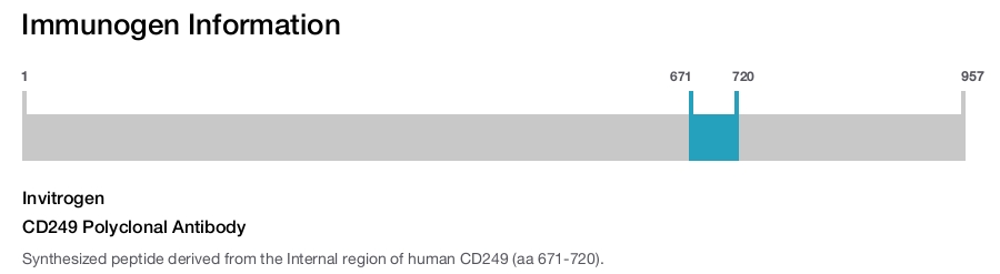 CD249 Polyclonal Antibody