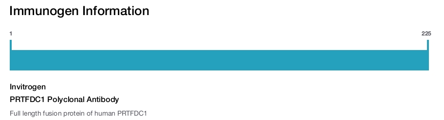 PRTFDC1 Polyclonal Antibody