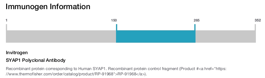 SYAP1 Polyclonal Antibody