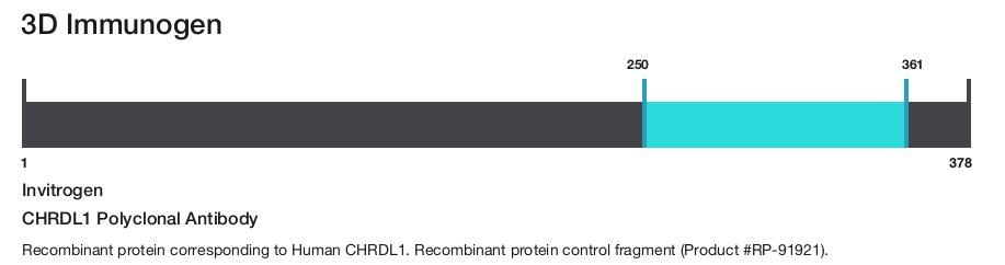 CHRDL1 Polyclonal Antibody