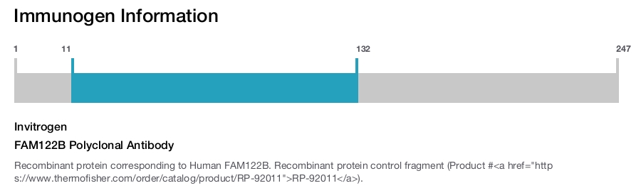FAM122B Polyclonal Antibody