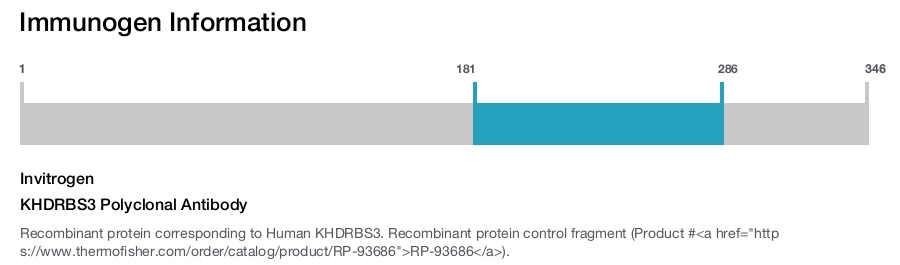 KHDRBS3 Polyclonal Antibody