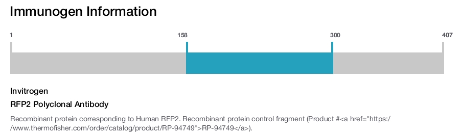 RFP2 Polyclonal Antibody