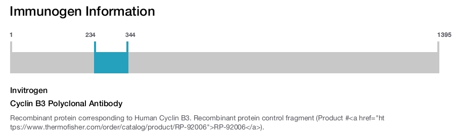 Cyclin B3 Polyclonal Antibody