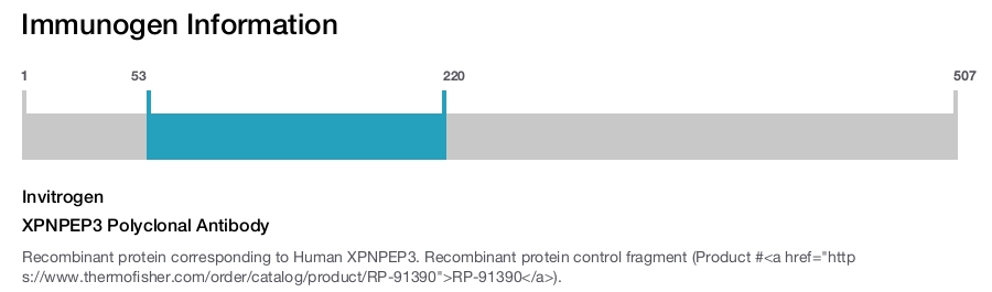 XPNPEP3 Polyclonal Antibody