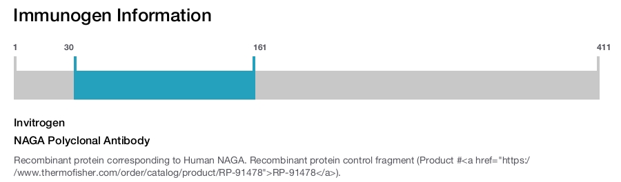 NAGA Polyclonal Antibody