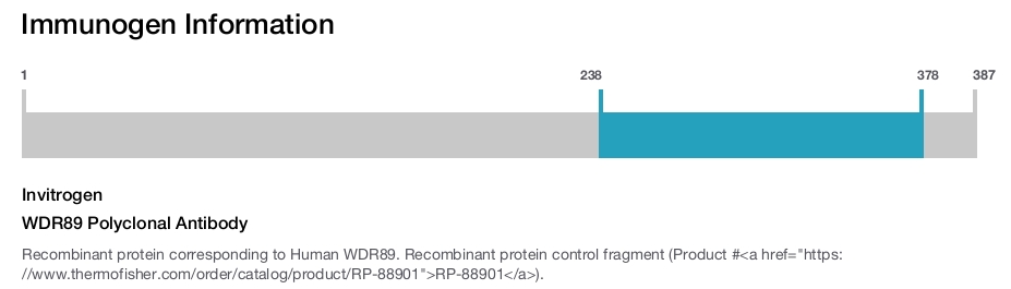 WDR89 Polyclonal Antibody