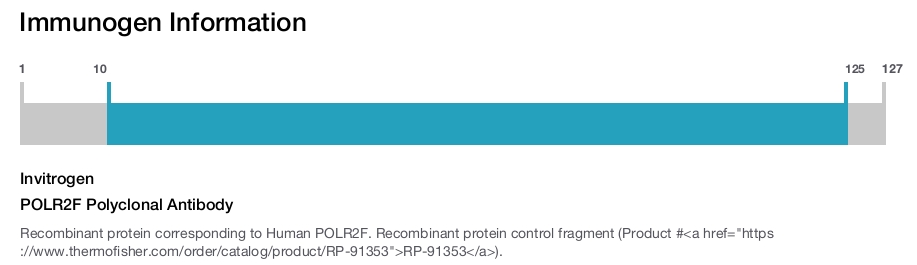 POLR2F Polyclonal Antibody